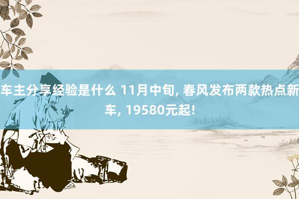 车主分享经验是什么 11月中旬, 春风发布两款热点新车, 19580元起!