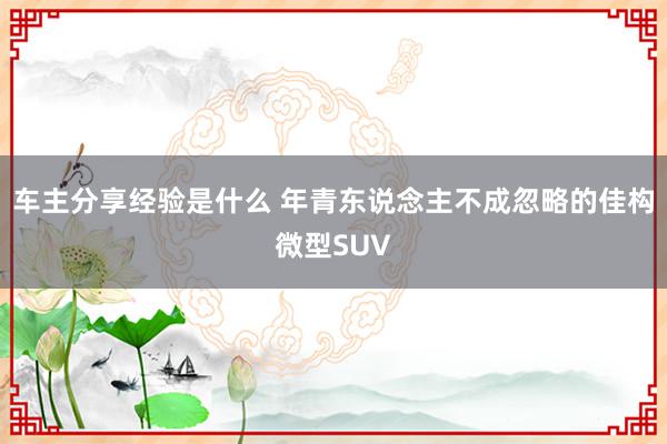 车主分享经验是什么 年青东说念主不成忽略的佳构微型SUV