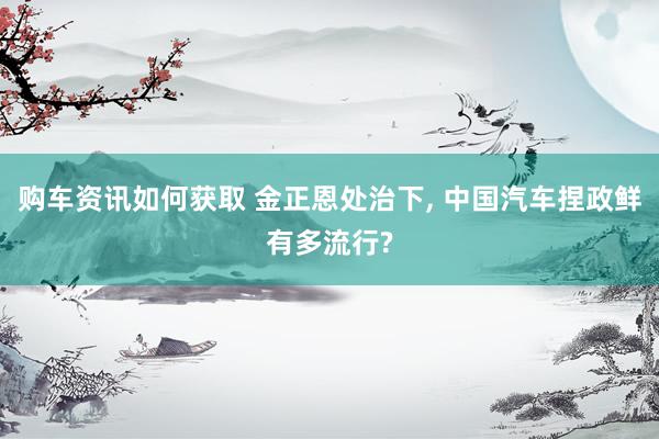 购车资讯如何获取 金正恩处治下, 中国汽车捏政鲜有多流行?