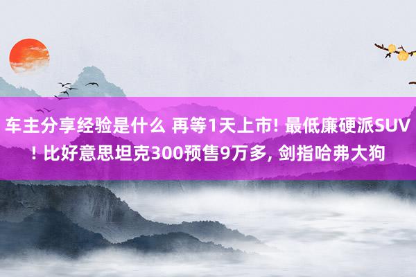 车主分享经验是什么 再等1天上市! 最低廉硬派SUV! 比好意思坦克300预售9万多, 剑指哈弗大狗