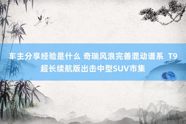 车主分享经验是什么 奇瑞风浪完善混动谱系  T9超长续航版出击中型SUV市集