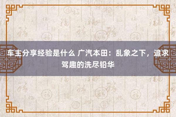 车主分享经验是什么 广汽本田：乱象之下，追求驾趣的洗尽铅华