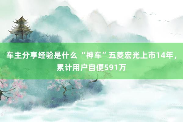 车主分享经验是什么 “神车”五菱宏光上市14年，累计用户自便591万