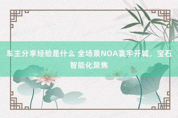 车主分享经验是什么 全场景NOA寰宇开城，宝石智能化聚焦