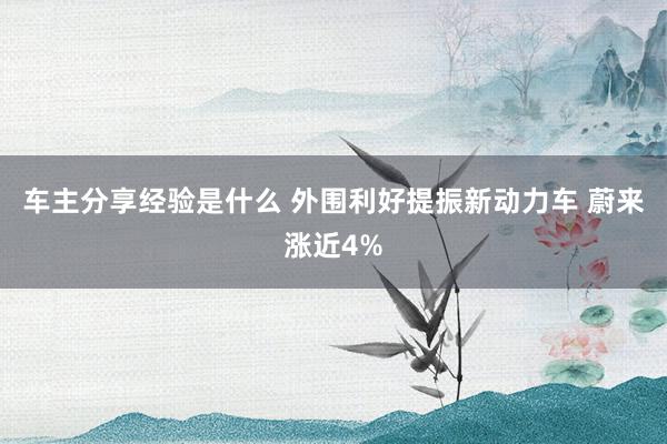 车主分享经验是什么 外围利好提振新动力车 蔚来涨近4%