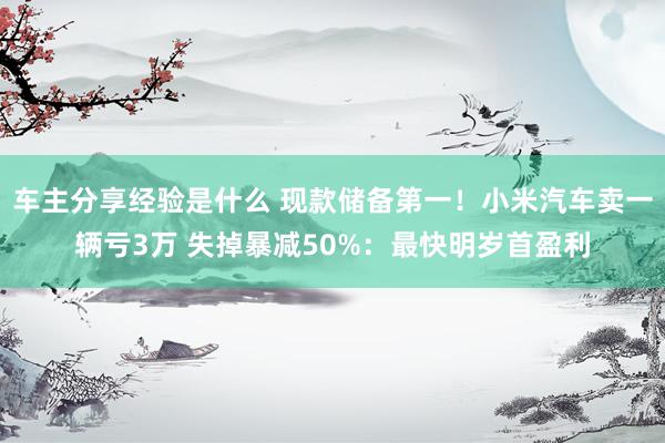 车主分享经验是什么 现款储备第一！小米汽车卖一辆亏3万 失掉暴减50%：最快明岁首盈利