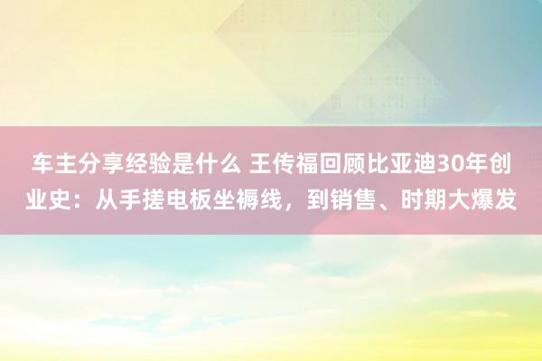 车主分享经验是什么 王传福回顾比亚迪30年创业史：从手搓电板坐褥线，到销售、时期大爆发