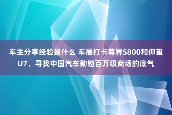 车主分享经验是什么 车展打卡尊界S800和仰望U7，寻找中国汽车勤勉百万级商场的底气