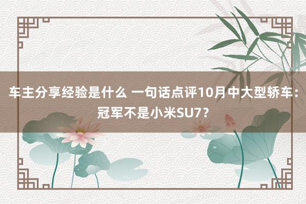 车主分享经验是什么 一句话点评10月中大型轿车：冠军不是小米SU7？