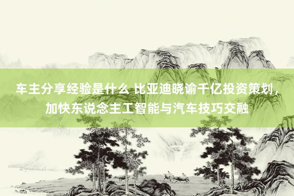 车主分享经验是什么 比亚迪晓谕千亿投资策划，加快东说念主工智能与汽车技巧交融