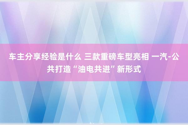 车主分享经验是什么 三款重磅车型亮相 一汽-公共打造“油电共进”新形式