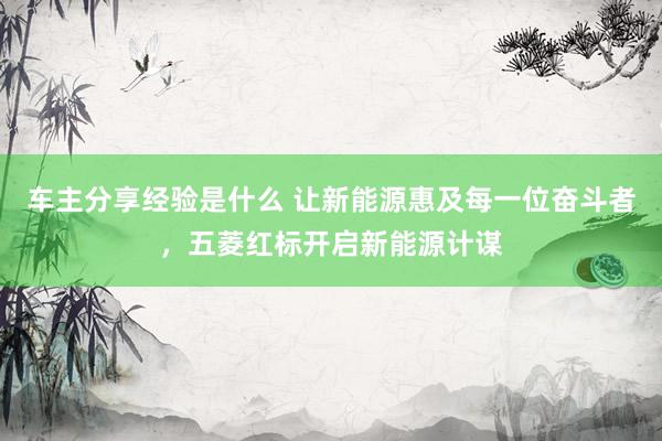 车主分享经验是什么 让新能源惠及每一位奋斗者，五菱红标开启新能源计谋