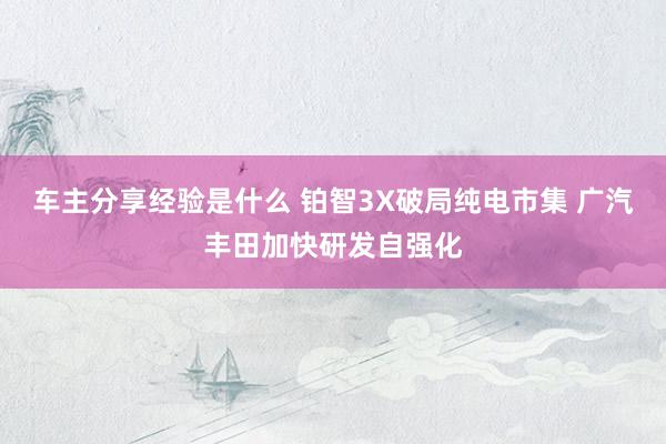 车主分享经验是什么 铂智3X破局纯电市集 广汽丰田加快研发自强化