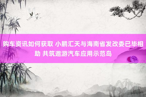 购车资讯如何获取 小鹏汇天与海南省发改委已毕相助 共筑遨游汽车应用示范岛