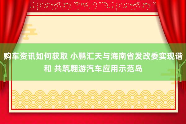 购车资讯如何获取 小鹏汇天与海南省发改委实现谐和 共筑翱游汽车应用示范岛