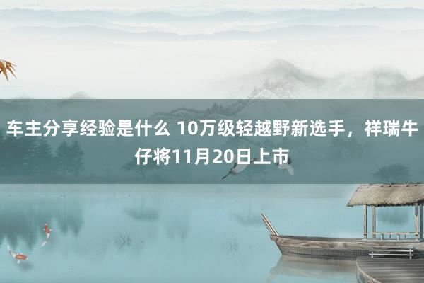 车主分享经验是什么 10万级轻越野新选手，祥瑞牛仔将11月20日上市