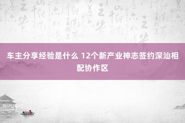 车主分享经验是什么 12个新产业神志签约深汕相配协作区