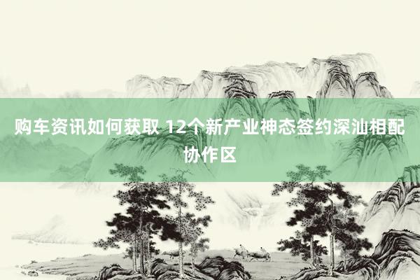 购车资讯如何获取 12个新产业神态签约深汕相配协作区