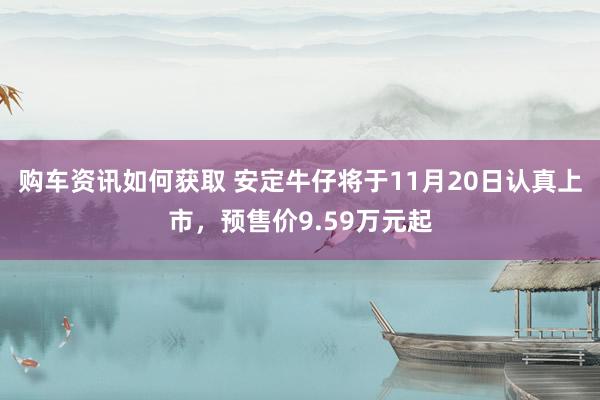 购车资讯如何获取 安定牛仔将于11月20日认真上市，预售价9.59万元起